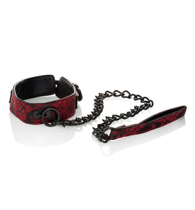 Scandal Collar With Leash SE2712503
