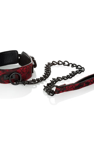Scandal Collar With Leash SE2712503