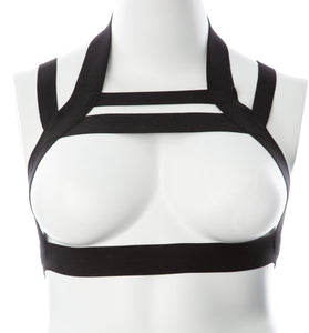 Gender Fluid Majesty Harness - Small-Large -  Black GFL-H101