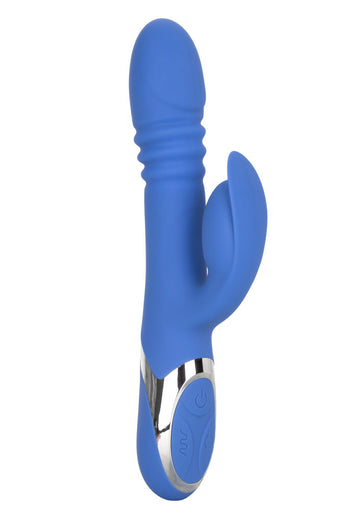 Enchanted Teaser - Blue SE0649253