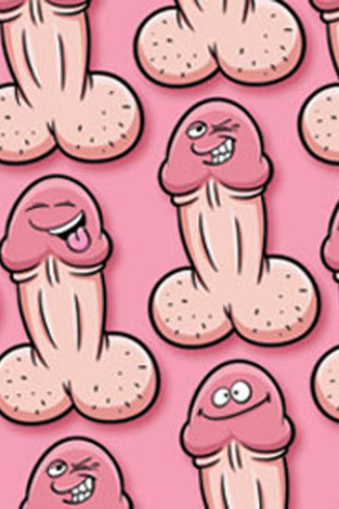 Gift Wrap Willy Pecker 2 Sheets OZ-GW-27