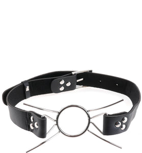 Fetish Fantasy Extreme Spider Gag PD3630-00