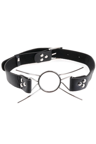 Fetish Fantasy Extreme Spider Gag PD3630-00