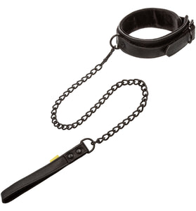 Boundless Collar & Leash SE2702403