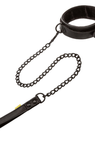 Boundless Collar & Leash SE2702403