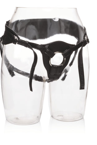 Her Royal Harness  -  the Queen SE1565151