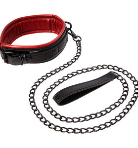 Saffron Collar and Leash SS480-05