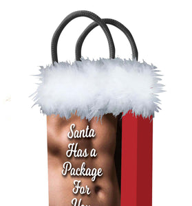 Santa Has a Big Package for You LG-LGP025