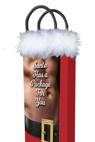 Santa Has a Big Package for You LG-LGP025
