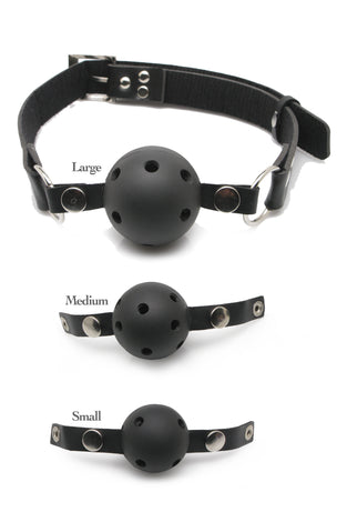 Fetish Fantasy Series Ball Gag Training System PD3841-00