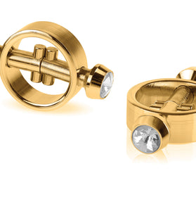 Fetish Fantasy Gold Magnetic Clamps - Gold PD3988-27