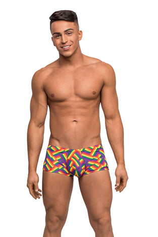 Pride Fest - Mini Short - Large - Print MP-145240PRL