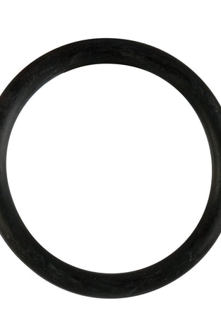 Rubber Ring - Large - Black SE1406032