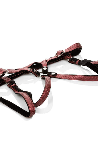 Her Royal Harness the Regal Duchess - Red SE1563103