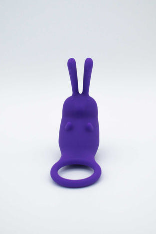 The Cock Hopper Cock Ring and Bullet Vibrator -  Purple LAK-9104