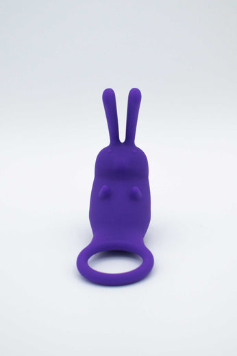 The Cock Hopper Cock Ring and Bullet Vibrator -  Purple LAK-9104