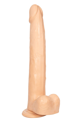 Size Queen 12 inch/30.5 Cm - Ivory SE0263502